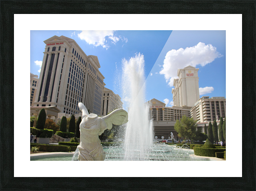 IMG 3081 Picture Frame print