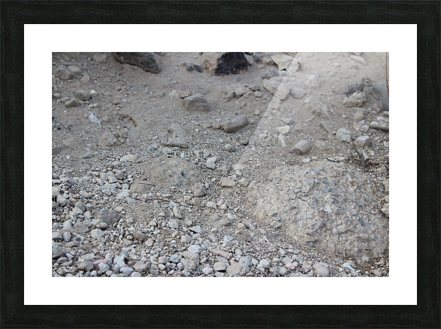 IMG 3073 Picture Frame print