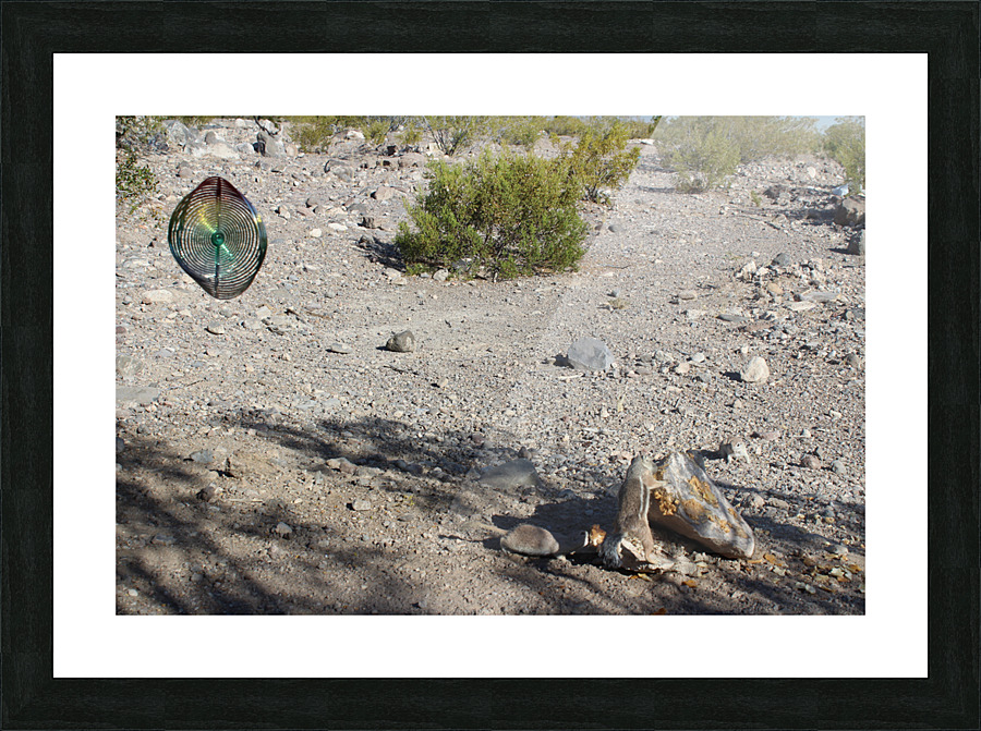 IMG 3570 Picture Frame print