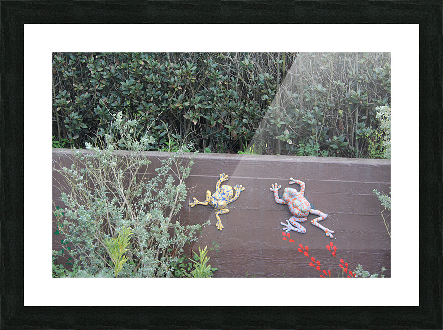 IMG 3765 Picture Frame print