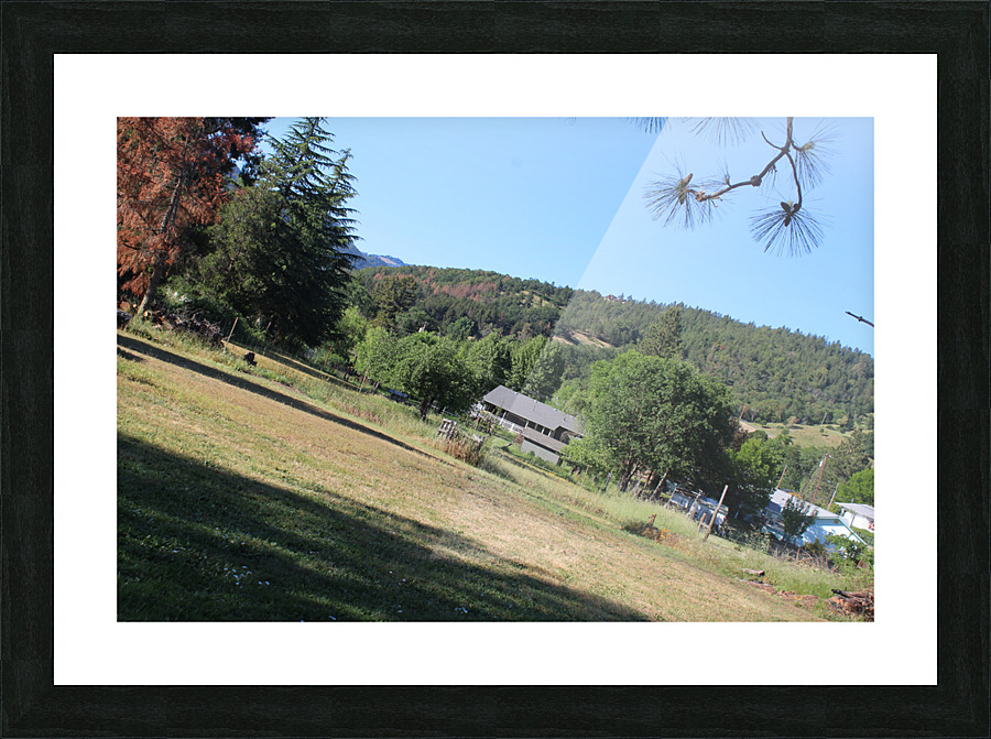 IMG 3947 Picture Frame print