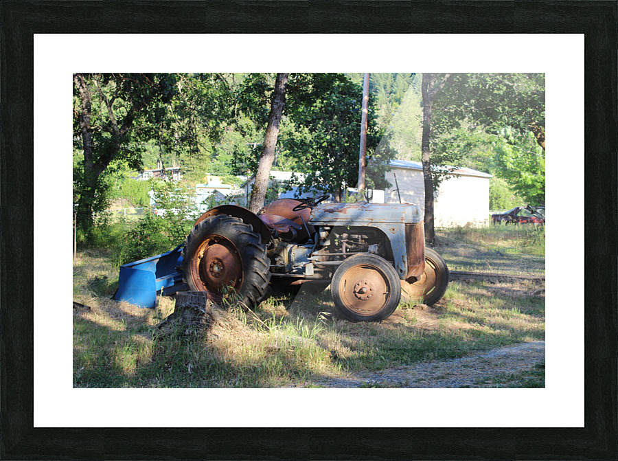 IMG 3977 Picture Frame print