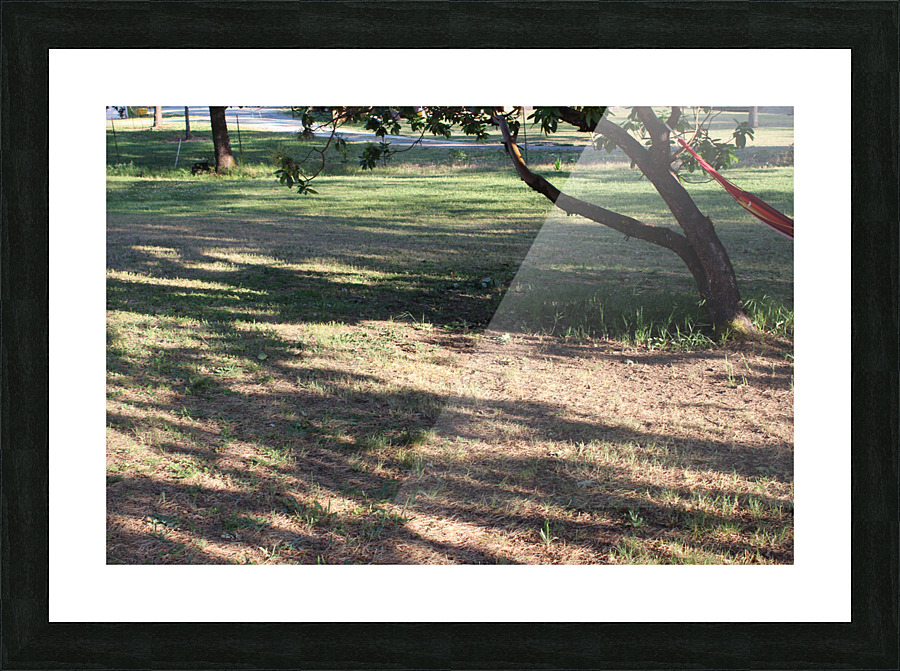 IMG 3987 Picture Frame print