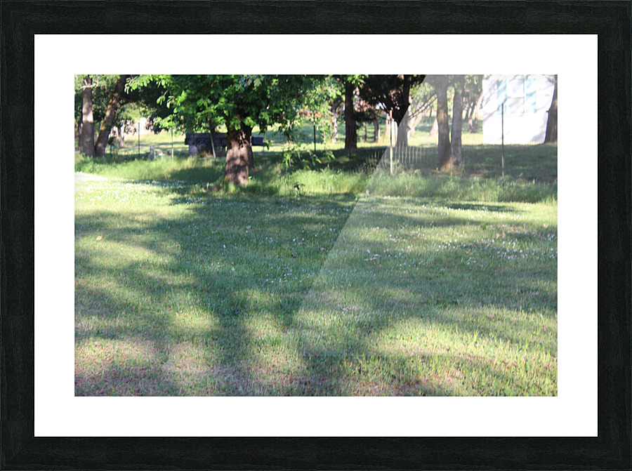 IMG 3983 Picture Frame print