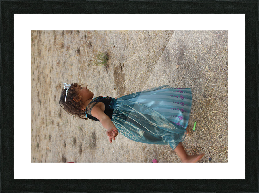 IMG 4373 Picture Frame print