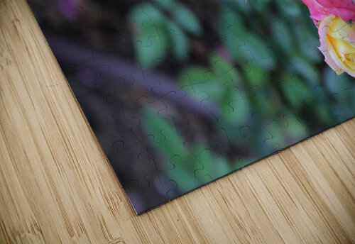 IMG 2473 Sky Captain puzzle