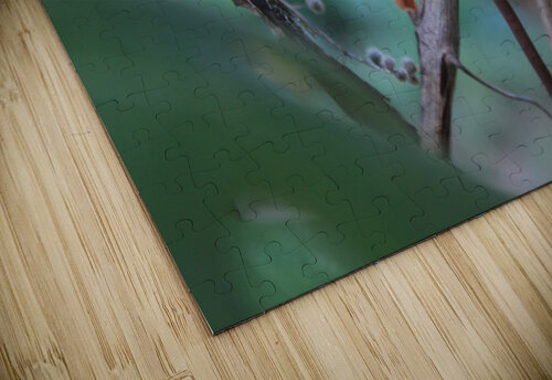 IMG 3969 Sky Captain puzzle