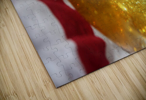 IMG 3922 Sky Captain puzzle