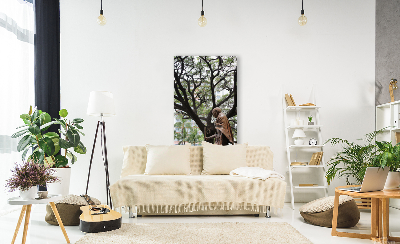 IMG 0675 Reproduction