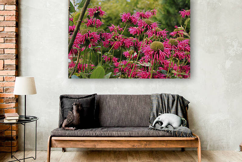 IMG 2682 Reproduction