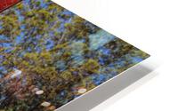 IMG 1053 HD Metal print