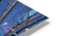 IMG 1071 HD Metal print
