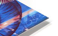 IMG 1087 HD Metal print