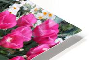 IMG 1175 HD Metal print