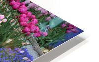 IMG 1197 HD Metal print