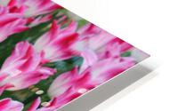 IMG 1291 HD Metal print