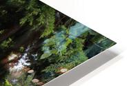 IMG 1262 HD Metal print