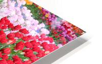 IMG 1211 HD Metal print
