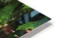 IMG 1216 HD Metal print
