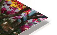IMG 1258 HD Metal print