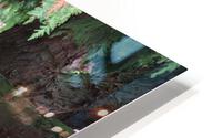 IMG 1229 HD Metal print