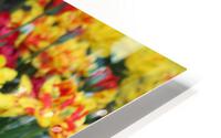 IMG 1243 HD Metal print