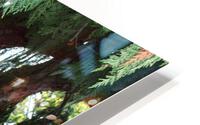 IMG 1231 HD Metal print
