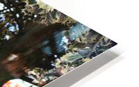 IMG 1203 HD Metal print