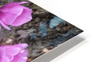 IMG 1265 HD Metal print
