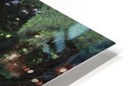 IMG 1260 HD Metal print