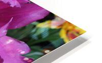 IMG 1244 HD Metal print