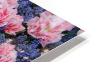 IMG 1215 HD Metal print