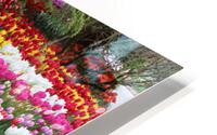 IMG 1254 HD Metal print
