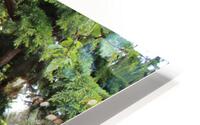 IMG 1263 HD Metal print