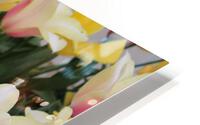 IMG 1292 HD Metal print
