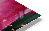IMG 1303 HD Metal print