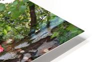 IMG 1350 1 HD Metal print