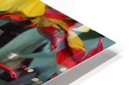 IMG 1329 HD Metal print