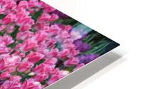 IMG 1327 HD Metal print