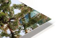 IMG 1361 HD Metal print