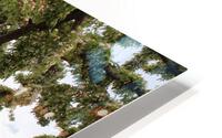 IMG 1360 HD Metal print