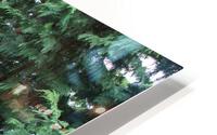 IMG 1356 HD Metal print