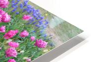 IMG 1385 HD Metal print