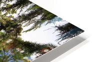 IMG 1352 HD Metal print