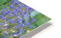 IMG 1374 HD Metal print