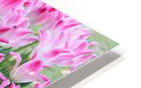 IMG 1358 HD Metal print