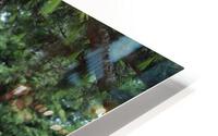 IMG 1359 HD Metal print