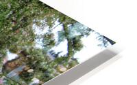 IMG 1392 HD Metal print