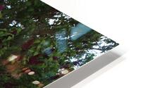 IMG 1379 HD Metal print