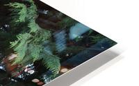 IMG 1355 HD Metal print